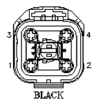 G11061976