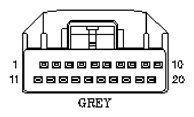 G11062431