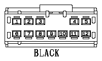 G11068081