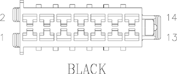 G11076032