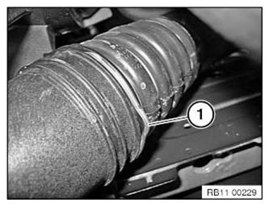 G11086905