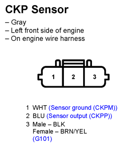 G11250121