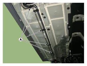 G11355189