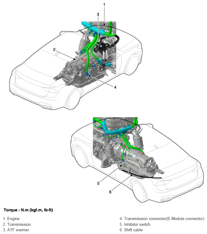 G11355233