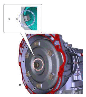 G11404562