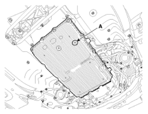 G11404571