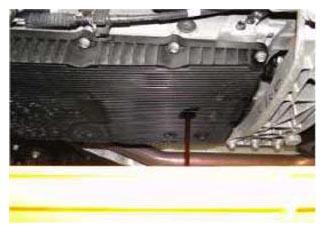 G11404602