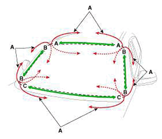 G11405766