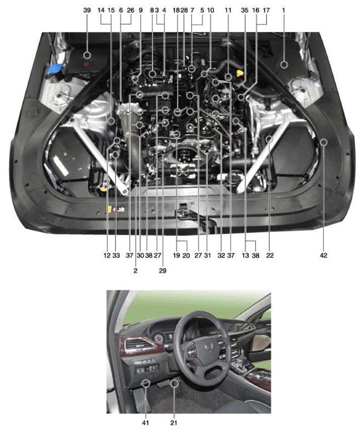 G11412109