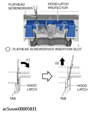 G11426583