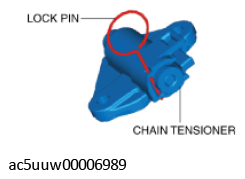 G11429981