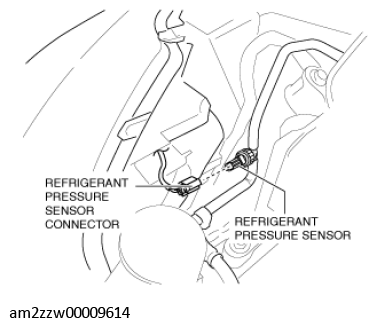 G11431336