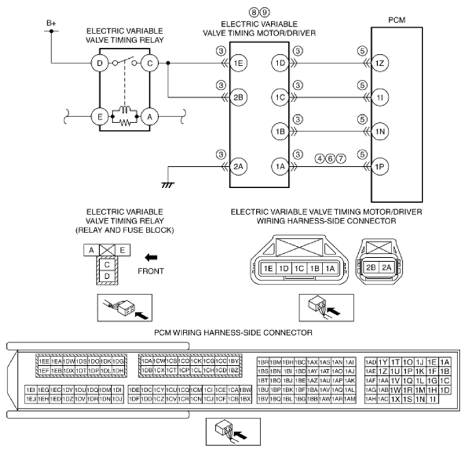 G11433284