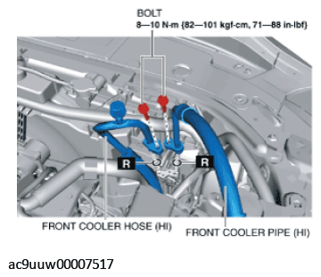 G11433489