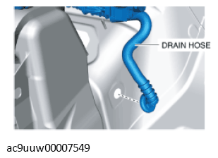 G11433496