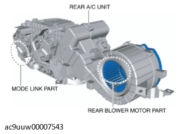 G11433565