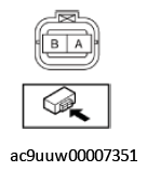 G11433635