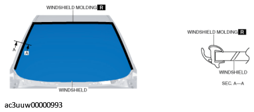 G11434362