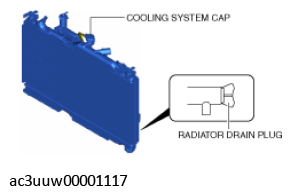G11435642