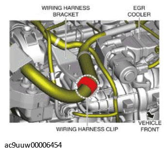 G11436193