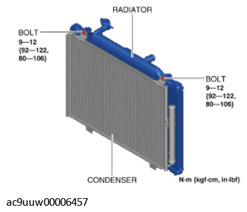 G11436196