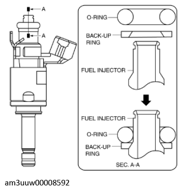 G11436338