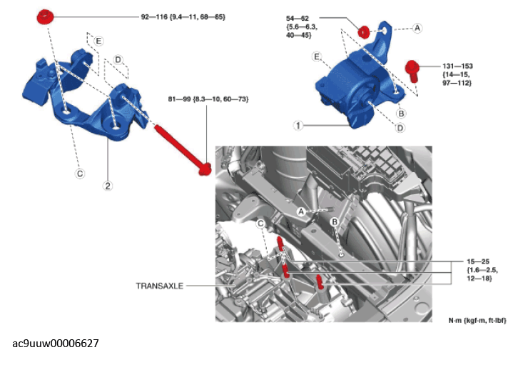G11436656