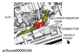 G11436674