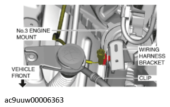 G11436690