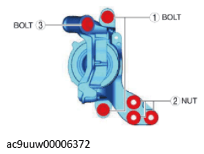 G11436702
