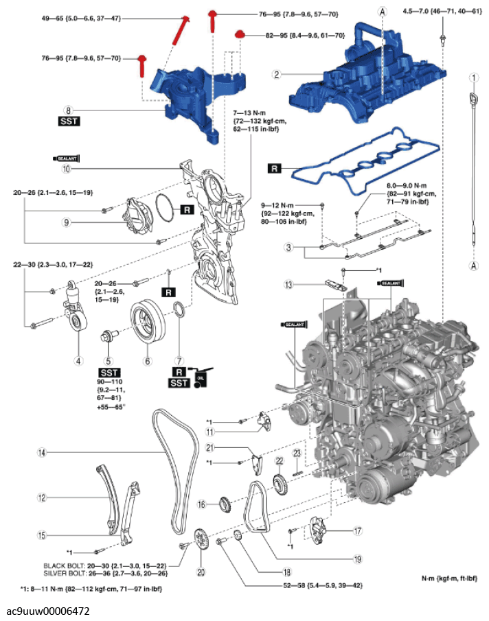 G11436788