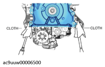 G11436819