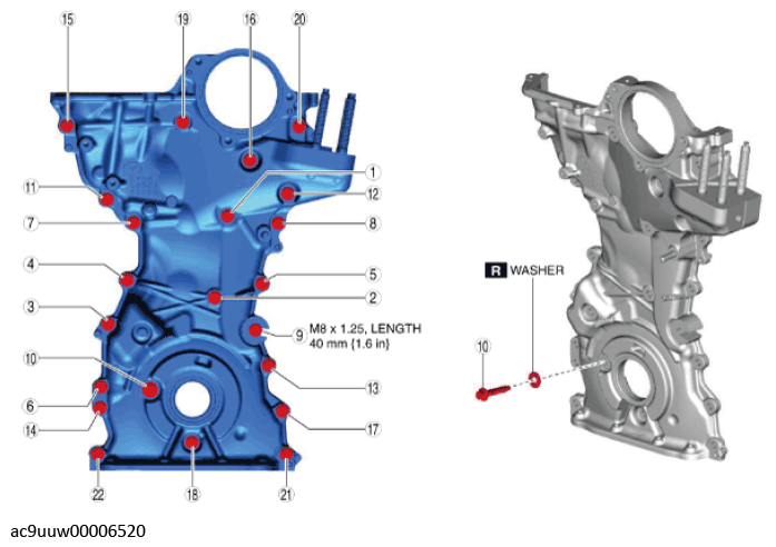G11436855