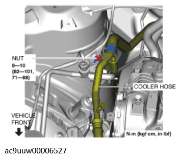 G11436866