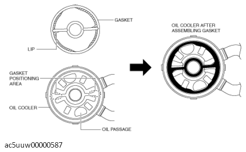 G11437063