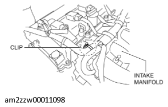G11437160