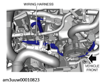 G11450602