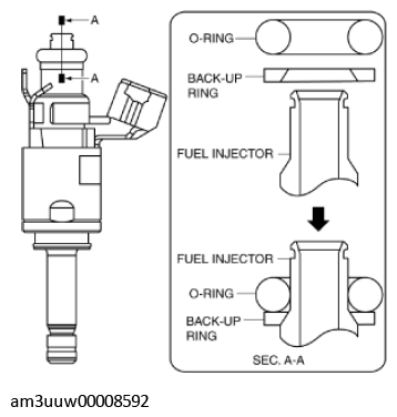G11450819