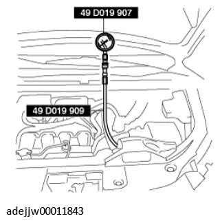 G11542584