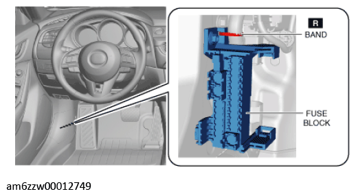 G11543482