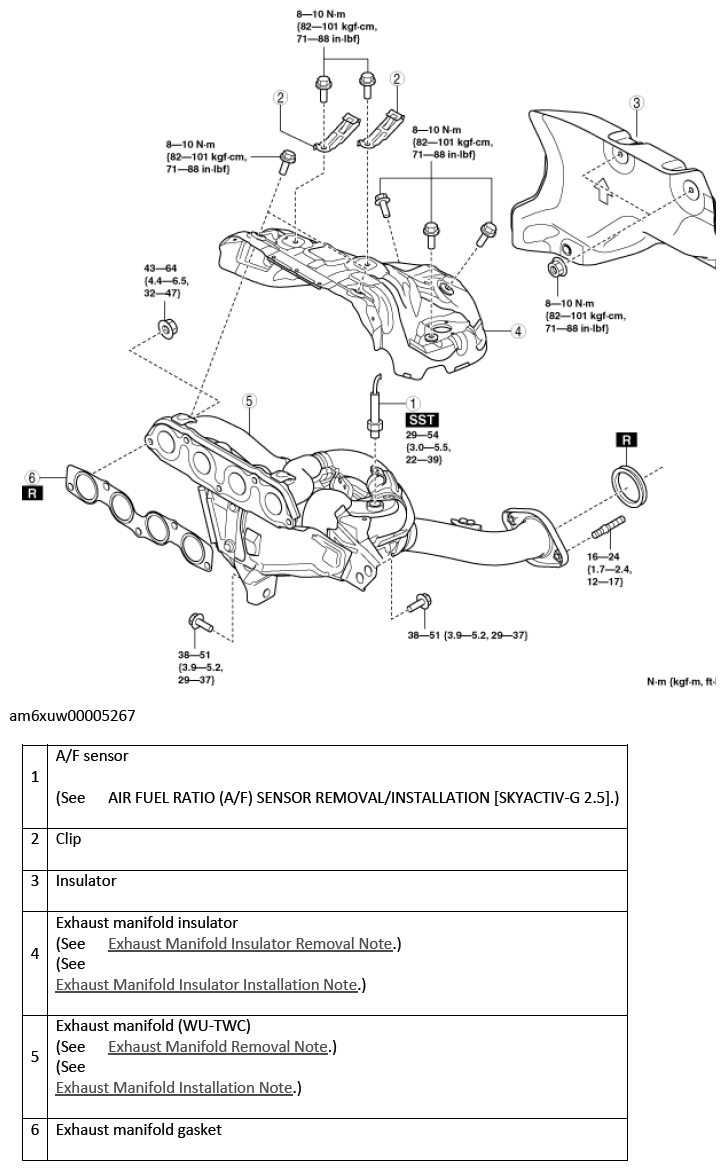 G11546879