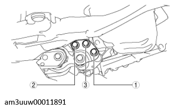 G11547157