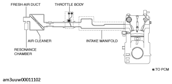 G11549855