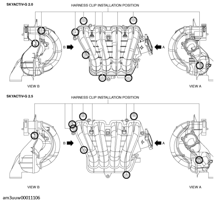 G11549861