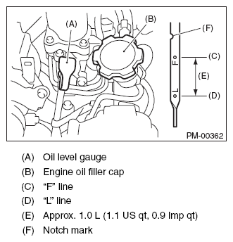 G11573996