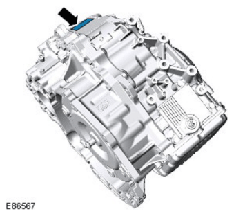 G11582261
