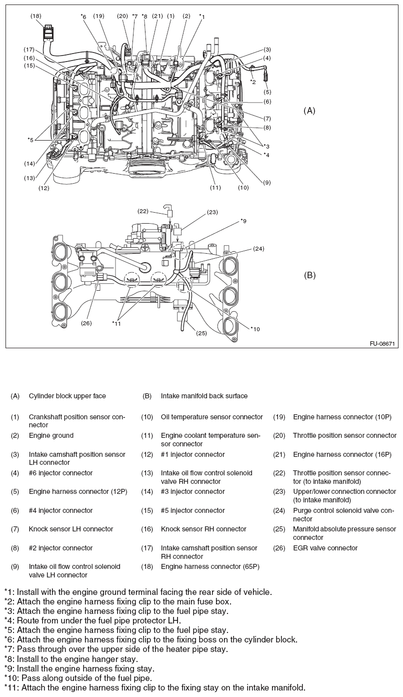 G11585601