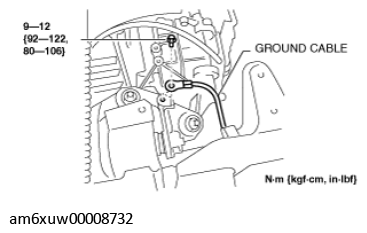 G11589638