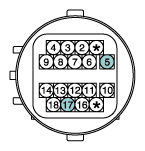 G11631311