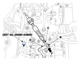 G11631361